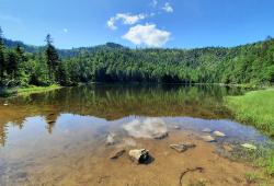 Am 22. August sind Taucher im Auftrag des Landesamtes für Umwelt im Einsatz, um die Unterwasserpflanzen im Rachelsee zu kartieren. (Foto: Nationalpark Bayerischer Wald)