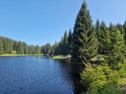 Die Scheurecker Schwelle ist eine der größten und schönsten Schwellen im Böhmerwald. (Foto: Nationalpark Bayerischer Wald)