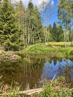 Über einen Abstecher führt die Wanderung am 3. September auch zur Křemelná. (Foto: Nationalpark Bayerischer Wald)