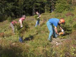 Beim Aktionstag zur Schachtenpflege am 16. September sind alle Interessierten eingeladen, die Schachten frei von Bewuchs zu halten (Foto: Bayerischer Wald-Verein).  