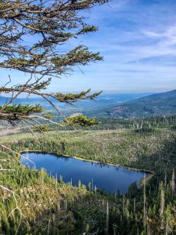 Auf dem Weg zum Adalbert-Stifter-Denkmal bietet sich ein toller Blick auf den Plöckensteiner See. (Foto: Sandra Schrönghammer/Nationalpark Bayerischer Wald)
