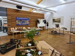 Die häufigsten Speise- und Giftpilze werden bei der Ausstellung „Pilze ohne Grenzen“ in der Arberlandhalle gezeigt. (Foto: Peter Karasch/Nationalpark Bayerischer Wald)