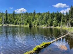 Der Lakasee ist Ziel der grenzüberschreitenden Wanderung am 1. Oktober. (Foto: Nationalpark Bayerischer Wald)