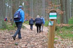 Höhepunkt der Wanderung im Tschechischen ist die Besteigung des Oblík. (Foto: Nationalpark Bayerischer Wald)