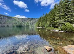 Einer der Höhepunkte der geführten Tour ist der Stopp am Schwarzen See. (Foto: Nationalpark Bayerischer Wald)