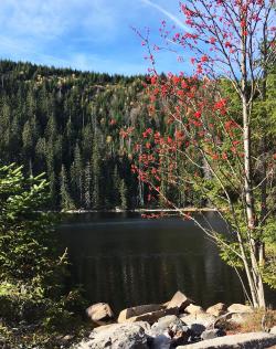 Vorbei am Stubenbacher See führt die Wanderung am 29. Oktober. (Foto: Nationalpark Bayerischer Wald)