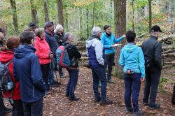 Nationalparkleiterin Ursula Schuster gab den Teilnehmern der Führung nicht nur Einblicke in verschiedene Stadien der Waldentwicklung, sie stand bei Fragen auch Rede und Antwort, beispielweise zum Borkenkäfer- oder Wildtiermanagement. (Foto: Nationalpark Bayerischer Wald)