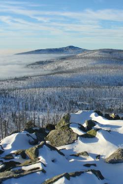Die Bayerwald-Hochlagen waren einst vergletschert. (Foto: Nationalpark Bayerischer Wald)