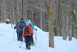 Bereits jetzt gibt’s vielerorts im Nationalpark beste Schneeschuh-Verhältnisse. (Foto: Nationalpark Bayerischer Wald)