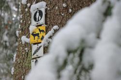 Die Wege in den Tier-Freigeländen des Nationalparks werden derzeit geräumt, ab Donnerstag sind die Einrichtungen wieder geöffnet. (Foto: Nationalpark Bayerischer Wald)