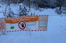Rund um Zwieslerwaldhaus finden derzeit Verkehrssicherungsmaßnahmen statt. Eine Nutzung der Loipen ist daher nicht möglich. (Symbolbild: Nationalpark Bayerischer Wald)