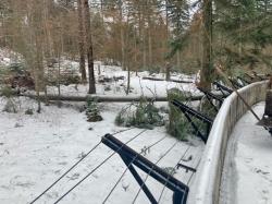 Im Tier-Freigelände bei Ludwigsthal kam es zu Sturmschäden - wie hier am derzeit unbesetzten Wolfsgehege.