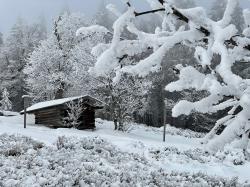 In der urigen Schutzhütte auf dem Jährlingschachten ist Zeit für eine Rast. (Foto: Nationalpark Bayerischer Wald)