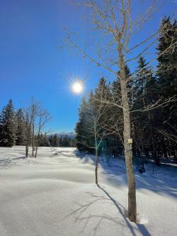 Auf den Lindberger Schachten führt die Schneeschuhtour am Sonntag, 21. Januar. (Foto: Nationalpark Bayerischer Wald)