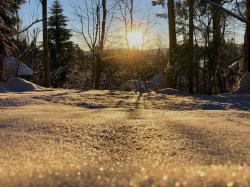 Eine meditative Wanderung gibt’s zu Lichtmess am 26. Januar. (Foto: Nationalpark Bayerischer Wald)