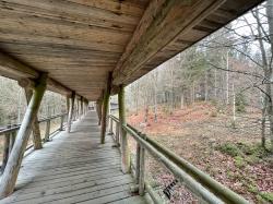 Das Wolfsgehege im Nationalparkzentrum Falkenstein mit seiner markanten Holzbrücke.