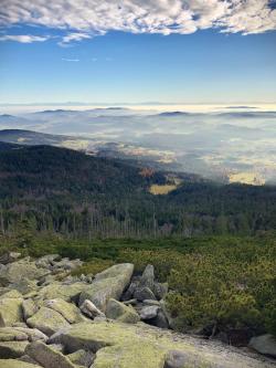 Das Steinerne Meer liegt am Südhang des Dreisesselbergs. (Foto: Sandra Schrönghammer/Nationalpark Bayerischer Wald)