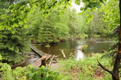 Die Steinbachklause umgeben vom sattgrünen Laubaustrieb. (Foto: Nationalpark Bayerischer Wald)