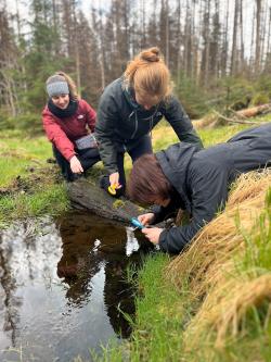 Ans Naturentdecken ging’s beim Einführungsseminar für die Teilnehmenden des Umweltpraktikums. Demnächst werden viele der jungen Frauen und Männer die Rollen tauschen und Schutzgebietsbesuchern Flora, Fauna und Co. näherbringen. (Foto: Vivian Heidrich)