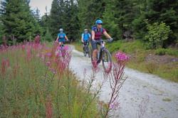Mit dem Rad geht es über die Grenze in den Nationalpark Šumava. (Foto: Nationalpark Bayerischer Wald)