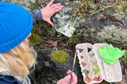 Führungsteilnehmer sollen Natureindrücke künstlerisch verarbeiten. (Foto: Lea Schmitt/Nationalpark Bayerischer Wald)