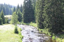 Die beeindruckende Landschaft im Rachelbachtal können die Teilnehmer der Radtour am 2. Juni genießen. (Foto: Nationalpark Bayerischer Wald)