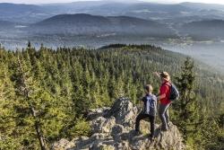 Tolle Ausblicke auf entstehende Waldwildnis bieten die Gipfel im Nationalpark Bayerischer Wald, wie etwa der Große Falkenstein. (Foto: Frank Bietau/Nationalpark Bayerischer Wald)