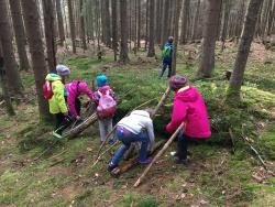 Spaß in der Natur haben und viel Neues entdecken, das verspricht das Kinderferienprogramm der Nationalparkzentren Falkenstein und Lusen. (Foto: Paula Moosbauer/Nationalpark Bayerischer Wald)