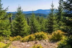 Spannende Geschichten und schöne Ausblicke warten bei einer geführten Wanderung über den Siebensteinkopf am 15. September. (Foto: Woidlife Photography /Nationalpark Bayerischer Wald)