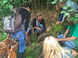 Jacob Heilmann-Clausen (Mitte) ist der wohl aktivste Waldnaturschützer in Dänemark. Vor allem Pilze in Buchenurwäldern kennt er wie seine Westentasche. (Foto: Universität Kopenhagen)