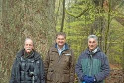 Zwei der renommiertesten Teilnehmer der Tagung waren Reed Noss (links) und David Lindenmayer, die mit Nationalparkleiter Franz Leibl im Rahmen einer Exkursion unter anderem die Waldhaustanne im Hans-Watzlik-Hain besuchten. (Foto: Simon Thorn/Nationalpark Bayerischer Wald)