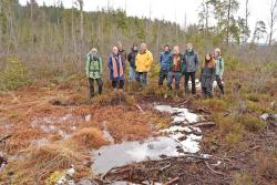 Bei der Evaluierung wurde unter anderem das Moor Kleine Au unter die Lupe genommen. (Foto: Gregor Wolf / Nationalpark Bayerischer Wald)