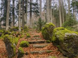 Auf leichten Pfaden wird rund um die Nationalpark-Enklave gewandert. (Foto: Sandra Schrönghammer / Nationalpark Bayerischer Wald)