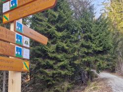 Vom Reschbachtal hinauf zum Wistlberg – das ist ab sofort auf dem neu ausgeschilderten Radweg möglich. (Foto: Annette Nigl / Nationalpark Bayerischer Wald)