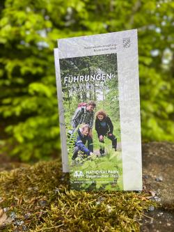 Viele Entdeckungen verstecken sich im aktuellen Führungsprogramm: Das Faltblatt dazu liegt nun aus. Alle Events gibt’s auch online. (Foto: Gregor Wolf / Nationalpark Bayerischer Wald)