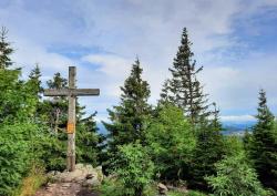 Ein Etappenziel der geführten Tagestour ist der Gipfel des Siebensteinkopfes. (Foto: Annette Nigl/Nationalpark Bayerischer Wald)