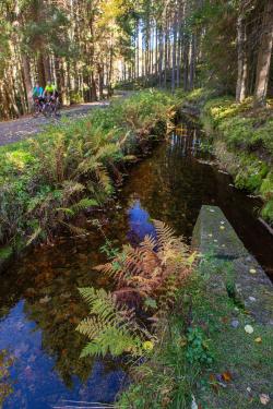 Entlang des Schwarzenberger Schwemmkanals führt die Radtour zum Plöckensteinsee. (Foto: Stephan Rosenkranz/Nationalpark Bayerischer Wald)