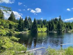 Der Lakasee ist eine Station bei der Radtour am 25. Mai. (Foto: Sandra Schrönghammer/Nationalpark Bayerischer Wald)