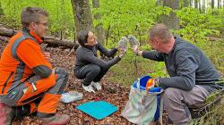 Bei der Beringung der Waldkäuze war auch Nationalparkleiterin Ursula Schuster dabei und assistierte Vogelberinger Helmut Hackl (rechts) und Forstwirt-Azubi Valentin Sterr. (Foto: Gregor Wolf / Nationalpark Bayerischer Wald)