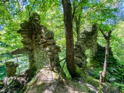 Auch an der Ruine der ehemaligen Schule von Oberlichtbuchet führt die Route vorbei. (Foto: Katrin Wachter/Nationalpark Bayerischer Wald)