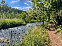 Der malerische Flusswanderweg nach Bayerisch Eisenstein steht zur Wahl zum schönsten Wanderweg Deutschlands. (Foto: Sandra Schrönghammer/Nationalpark Bayerischer Wald)