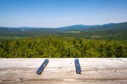 Vom Baumwipfelpfad in Neuschönau bietet sich ein herrlicher Blick auf die Nationalparkregion. (Foto: Woidlife Photography/Nationalpark Bayerischer Wald)