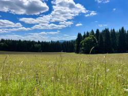 Die abwechslungsreichen Landschaften des Böhmerwaldes werden bei einer Tageswanderung am Sonntag, 29. Juni durchquert. (Foto: Sandra Schrönghammer/Nationalpark Bayerischer Wald)