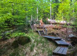 Eine meditative Wanderung findet am 25. Juli auf dem Seelensteig statt. (Foto: Sandra Schrönghammer / Nationalpark Bayerischer Wald)