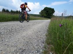 Eine grenzüberschreitende Radtour in den Nationalpark Šumava ist am 26. Juli geboten. (Foto: Annette Nigl /Nationalpark Bayerischer Wald)