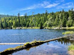 Der malerische Lakasee ist bei der grenzüberschreitenden Radtour eines der landschaftlichen Highlights. (Foto: Sandra Schrönghammer/Nationalpark Bayerischer Wald)