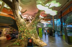 Auch in diesem Jahr versetzen Studierende der TH Deggendorf das Haus zur Wildnis mit Multi-Media-Installationen in ein ganz besonderes Licht. (Foto: Frank Bietau / Nationalpark Bayerischer Wald)