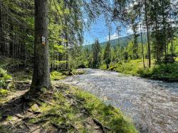 Der malerische Flusswanderweg am Großen Regen führt meist entlang des Ufers. (Foto: Sandra Schrönghammer/Nationalpark Bayerischer Wald)