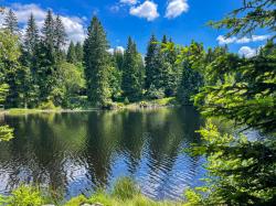Der Lakasee bildet die malerische Kulisse einer wohlverdienten Rast. (Foto: Sandra Schrönghammer/Nationalpark Bayerischer Wald)