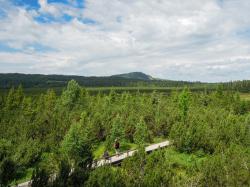 Das Seefilz ist eines der landschaftlichen Highlights der grenzüberschreitenden Wanderung. (Foto: Teresa Schreib/Nationalpark Bayerischer Wald)